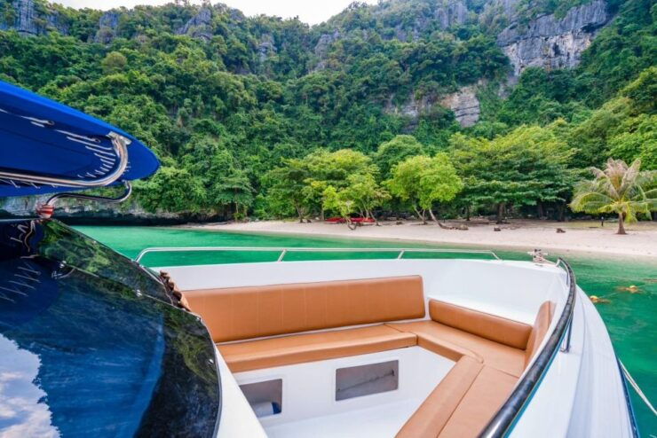 From Koh Samui: Private Koh Tao and Koh Nang Yuan - Experience Highlights