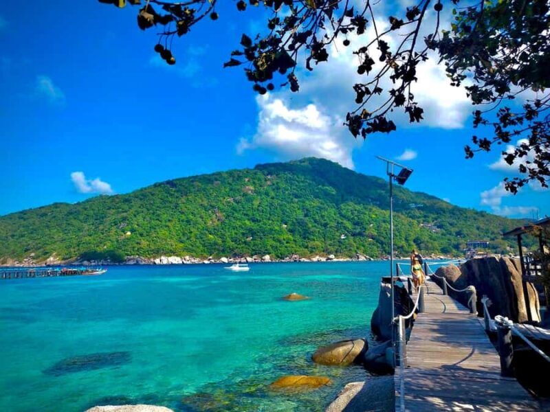 From Koh Samui: Private Speed Boat Koh Tao & Nang Yuan - The Experience of Snorkeling and Sightseeing  