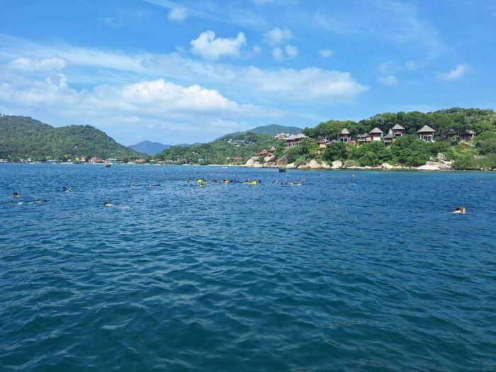 From Koh Samui: Private Speedboat Tour to Koh Tao & Nangyuan - Frequently Asked Questions
