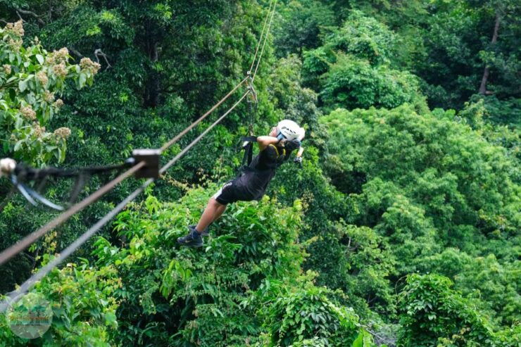 From Koh Samui: Tree Bridge Zipline and Café Experience - Experience Highlights