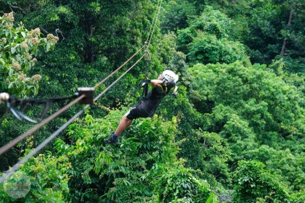 From Koh Samui: Tree Bridge Zipline and Café Experience - Tips for a Great Experience