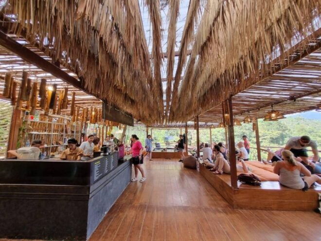 From Koh Samui: Tree Bridge Zipline and Café Experience - Itinerary for the Tree Bridge Zipline Experience