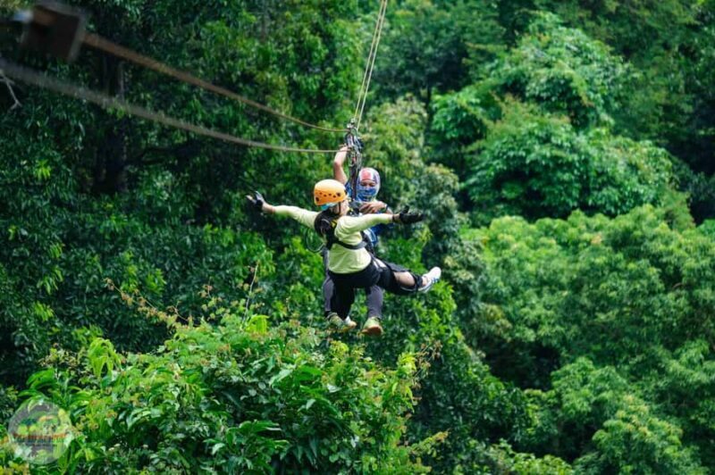 From Koh Samui: Tree Bridge Zipline & Café Adventure - An In-Depth Look at the Tree Bridge Zipline & Café Adventure