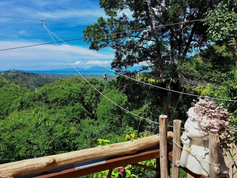 From Koh Samui: Tree Bridge Zipline & Café Adventure - FAQ  