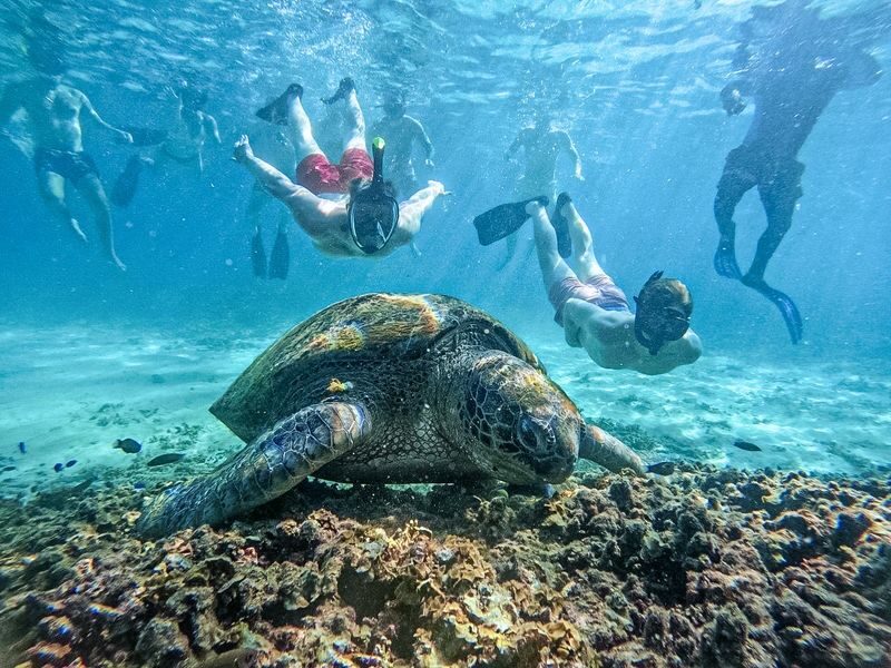 From Koh Tao: Snorkeling to Hidden Bays & Koh Nangyuan with Lunch - Koh Nangyuan first, then the bays