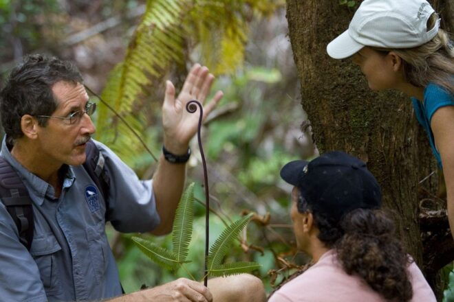 From Kona and Waikoloa: Kilauea Volcano Discovery Tour - Tour Highlights