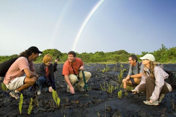 From Kona and Waikoloa: Kilauea Volcano Discovery Tour - The Sum Up