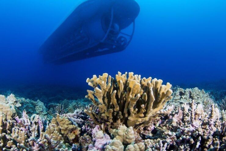 From Kona: Big Island Underwater Submarine Adventure - Experience