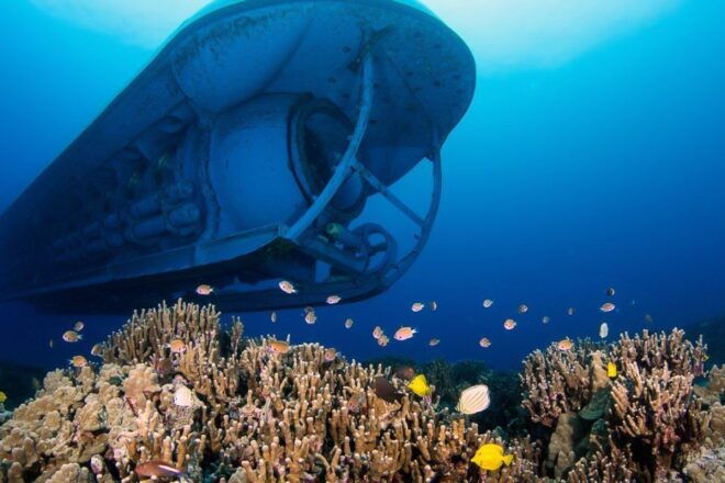 From Kona: Big Island Underwater Submarine Adventure - Important Information