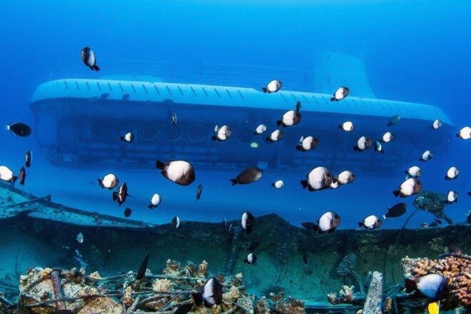 From Kona: Big Island Underwater Submarine Adventure - Common Questions