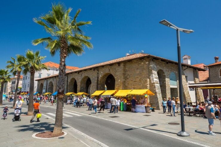 From Koper: Piran and Panoramic Slovenian Coast Tour - Tour Details