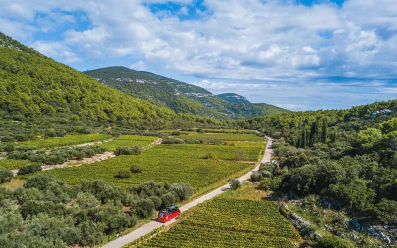 From Korcula Town: Local Wine & Sightseeing Half-Day Tour - Tasting Local Products