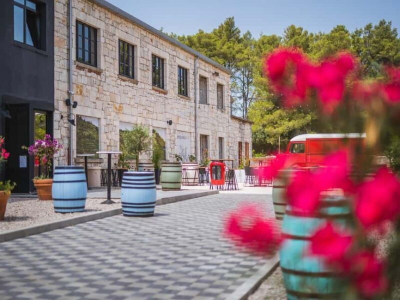 From Korcula Town: Local Wine & Sightseeing Half-Day Tour - Authentic Experiences and Guest Feedback