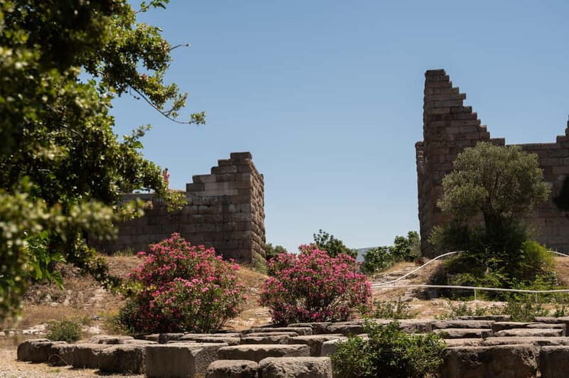 From Kos: A day ride to Bodrum with comfortable transfer - Journey into Bodrum: What to Expect