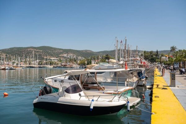 From Kos: a Day Ride to Bodrum With Comfortable Transfer - Local Cuisine and Dining Options