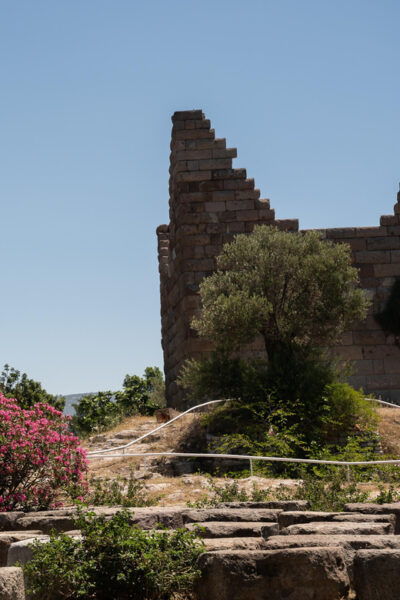 From Kos: a Day Ride to Bodrum With Comfortable Transfer - Frequently Asked Questions