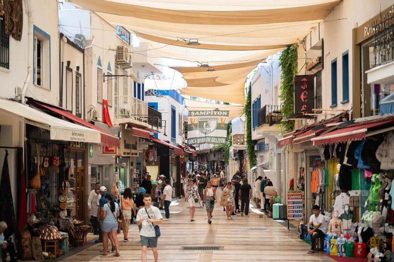From Kos: Bodrum Day Trip by Ferry with Transfer - Authentic Traveler Insights  