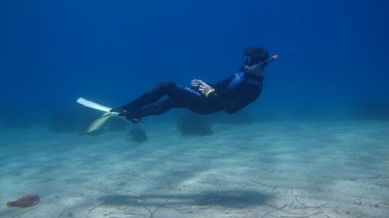 From Kos: Pserimos Island Snorkeling Cruise by Diving Boat - Good To Know