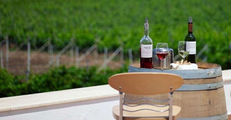From Kos: Tour of 2 Wineries With Wine Tasting & Small Bites - Tour Details