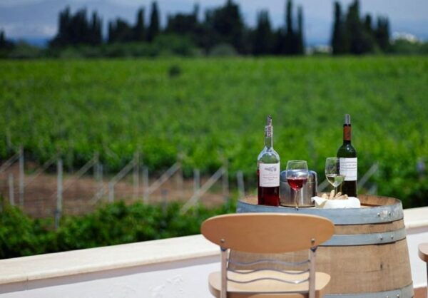 From Kos: Tour of 2 Wineries With Wine Tasting & Small Bites - Directions