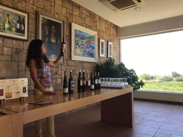 From Kos: Tour of 2 Wineries With Wine Tasting & Small Bites - The Sum Up
