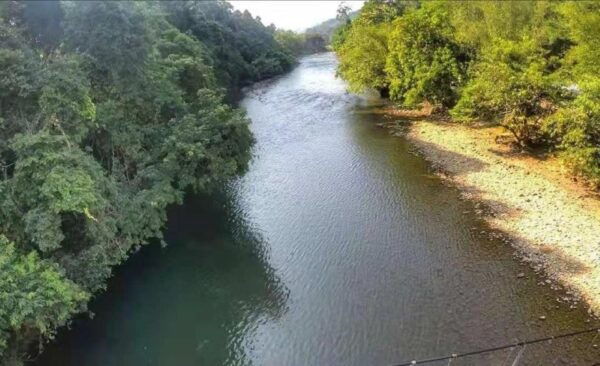From Kota Kinabalu : Kiulu River White Water Rafting Tour - Immerse in Breathtaking Natural Beauty