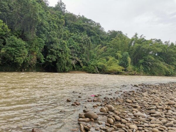 From Kota Kinabalu : Kiulu River White Water Rafting Tour - The Sum Up