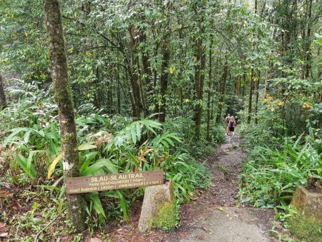 From Kota Kinabalu:Kundasang Private Tour Poring Hot Spring - Full Description of the Tour