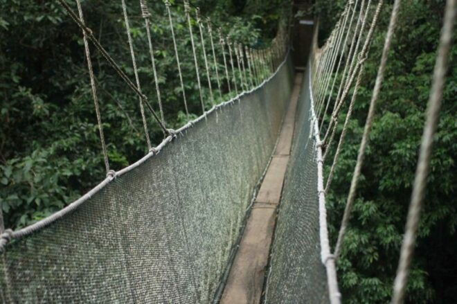 From Kota Kinabalu:Kundasang Private Tour Poring Hot Spring - Important Information