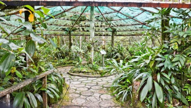 From Kota Kinabalu:Kundasang Private Tour Poring Hot Spring - Common Questions