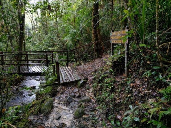 From Kota Kinabalu:Kundasang Private Tour Poring Hot Spring - The Sum Up