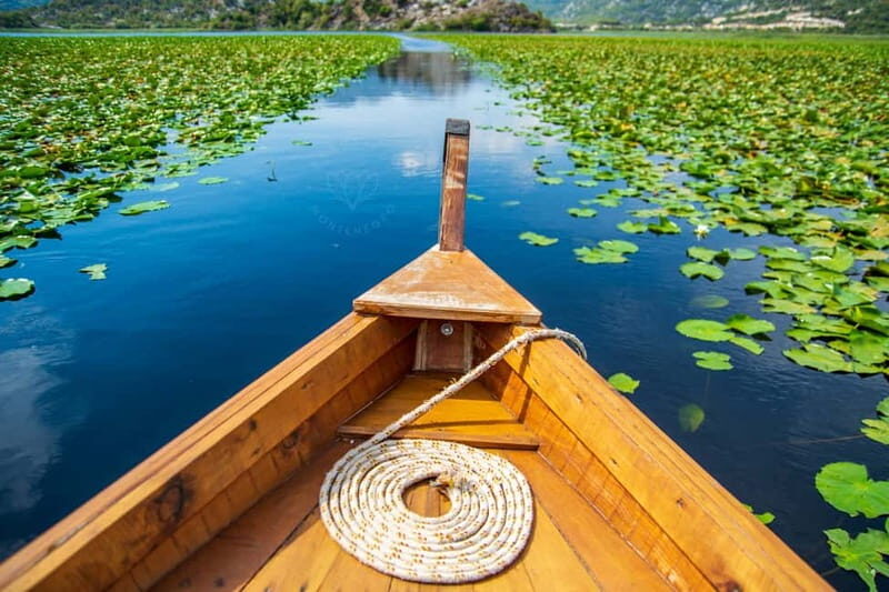 From Kotor, Budva, Tivat: Skadar Lake Boat Tour & Wine - Who Will Love This Tour?