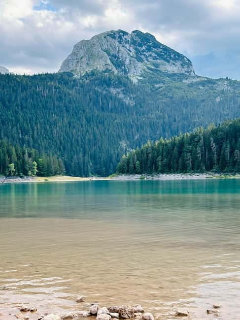 From Kotor: Durmitor National Park and Tara Bridge Day Trip - An Overview of the Tour Experience