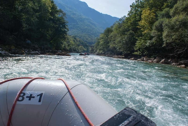 From Kotor: Montenegro Tara Rafting - An Overview of the Montenegro Tara Rafting Tour