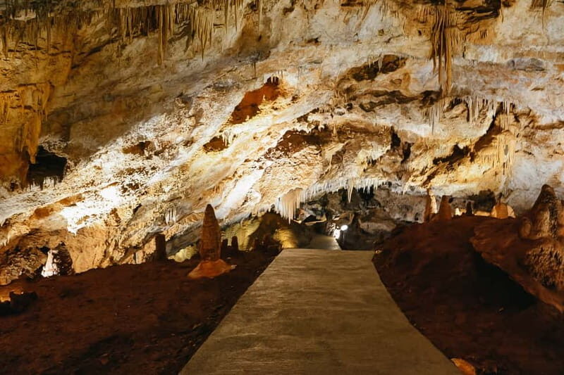 From Kotor:Private Excursion Wild Beauty of the Lipa Cave - Authentic Insights From Past Travelers