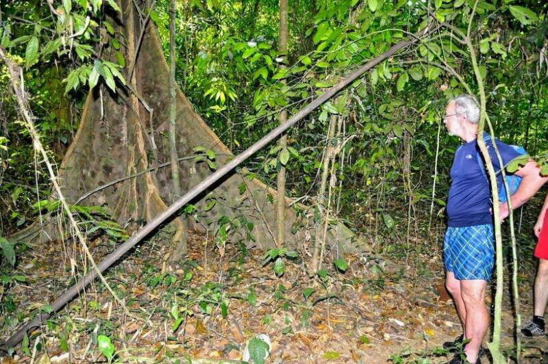 From Krabi: 1-Day Khao Sok & 2-Day Cheow Lan Lake Safari - Highlights of Day 1