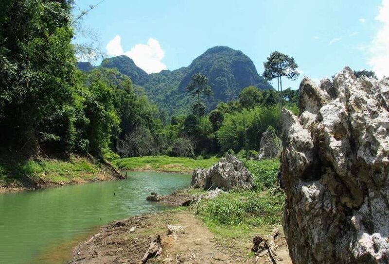 From Krabi: 2-Day Khao Sok Jungle Safari With Overnight Stay - Itinerary Highlights