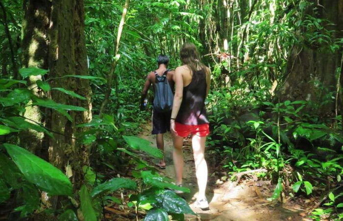 From Krabi: 2-Day Khao Sok Jungle Safari With Overnight Stay - Discover Khao Sok National Park