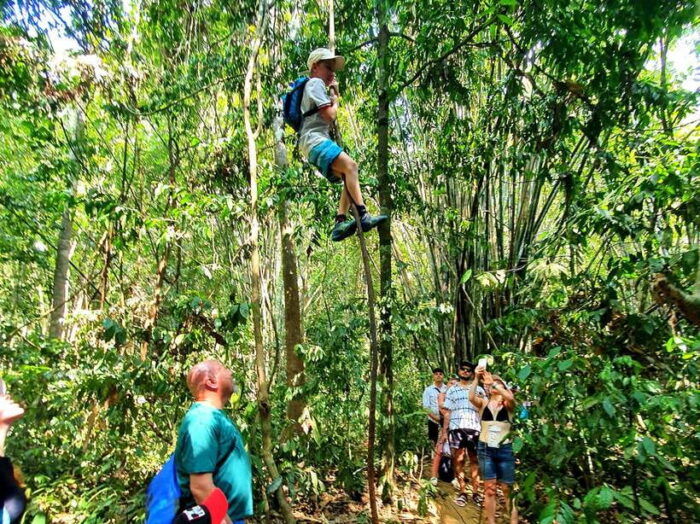 From Krabi: Cheow Lan Lake Day Trip With Lunch at Rafthouse - Pricing and Booking Information