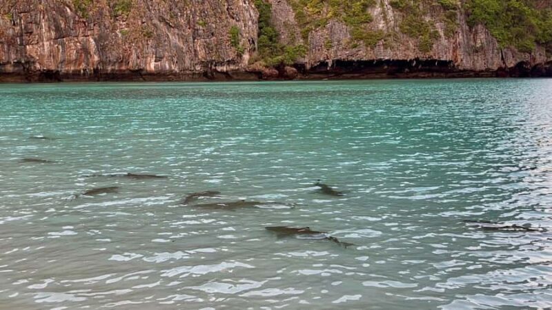 From Krabi: Phi Phi Early Bird & 4 Islands by Speedboat - The Sum Up