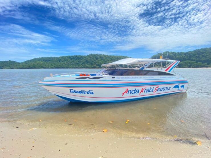 From Krabi: Phi Phi Island Full-Day Private Speed Boat Tour - Tour Highlights