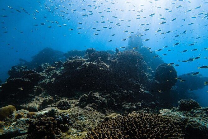 From Krabi - Phi Phi Island & Maya Bay Speedboat Tour with Lunch - Final Thoughts