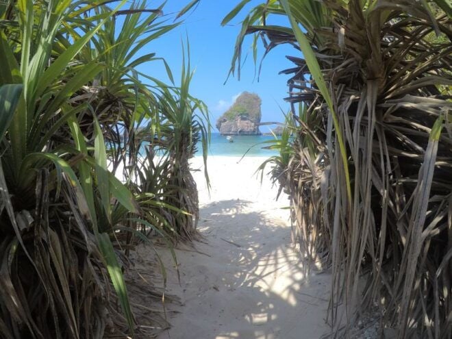 From Krabi: Phi Phi Islands Small Group Tour - Additional Information