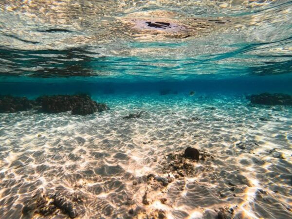 From Krabi: Phi Phi Islands Speedboat Day Tour - Directions