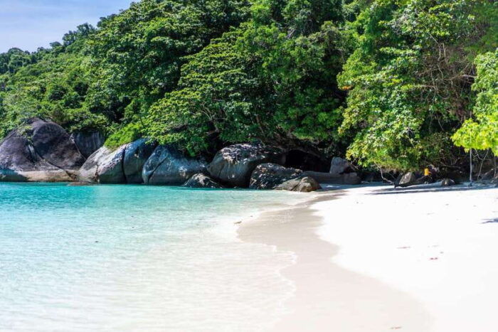 From Krabi: Similan Islands Day Trip by Speedboat - Frequently Asked Questions