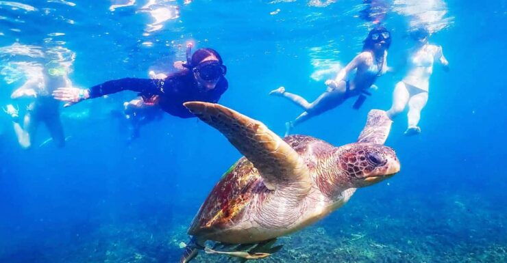 From Krabi: Surin Islands Snorkeling Tour W/ Meals - Key Points