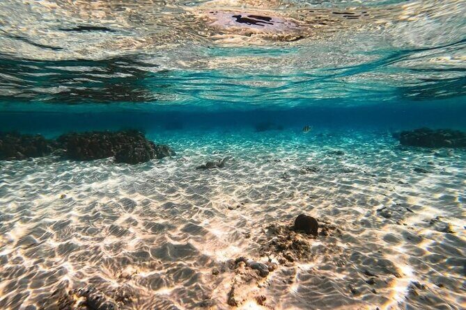 From Krabi to Phi Phi Islands Speedboat Day Tour - The Sum Up