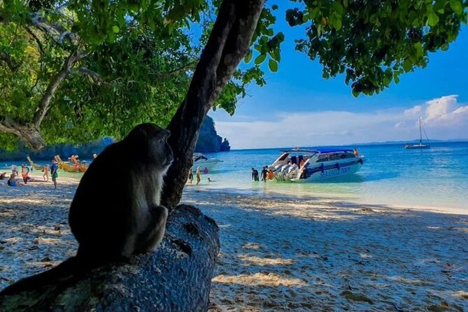 From Krabi to Phi Phi Islands Speedboat Day Tour - Speedboat Experience