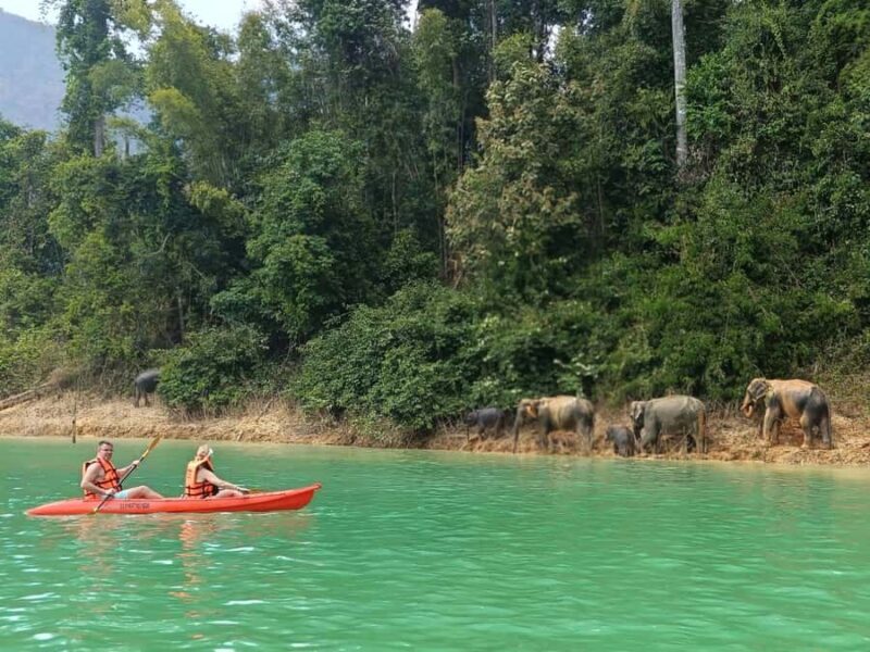 From Krabi: Unforgettable Full-Day Khao Sok Lake Adventure - The Full Itinerary Breakdown