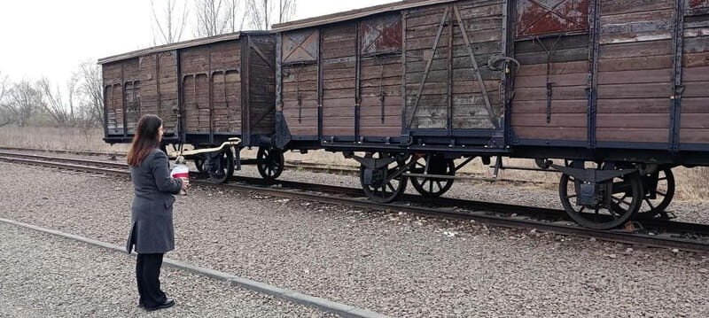 From Kracow: Auschwitz Complex Alternative Tour - Why This Tour Is a Great Choice